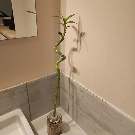 Monts Et Reves 4* Ramonchamp