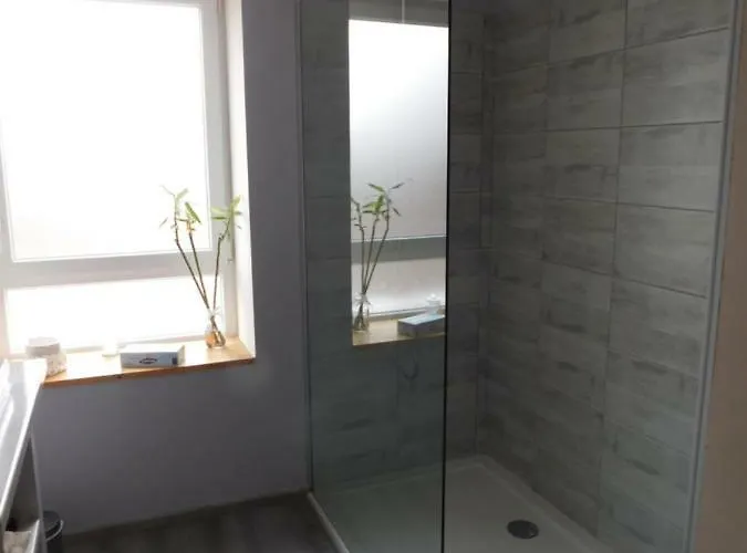 住宿加早餐酒店 Monts Et Reves Ramonchamp